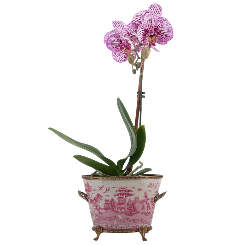 Village Scene Bronze Ormolu Pink Willow Planter