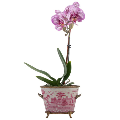 Village Scene Bronze Ormolu Pink Willow Planter